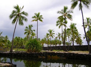 Puuhonua